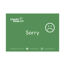Load image into Gallery viewer, Greeting Cards - Green