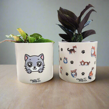 Load image into Gallery viewer, Cute Cats Duo Pack - Cheeky Plant Co. Pots - 12.5cmD x 12cmH