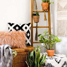 Load image into Gallery viewer, Black Iron Plant Trellis - Honeycomb (13x38.5cmH)