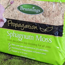 Load image into Gallery viewer, Brunnings Sphagnum Moss 150g