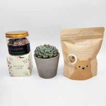 Load image into Gallery viewer, Deepest Sympathy Gift Hamper Box with Succulent