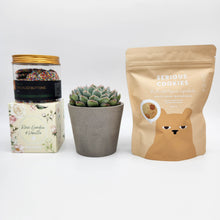Load image into Gallery viewer, Deepest Sympathy Gift Hamper Box with Succulent