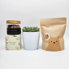 Load image into Gallery viewer, Deepest Sympathy Gift Hamper with Succulent - Sydney Only