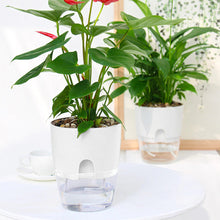 Load image into Gallery viewer, Self Watering Pot (15.3x18.2cmH)