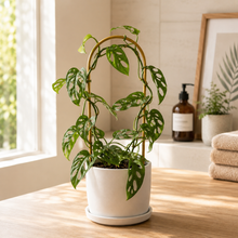 Load image into Gallery viewer, Gold Arch Plant Trellis (10x34cmH)