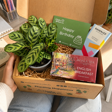 Load image into Gallery viewer, Birthday Plant Gift Box