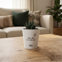 Load image into Gallery viewer, Cheeky Plant Co. - Fresh Start Living Room
