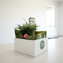 Load image into Gallery viewer, Happy Housewarming Plant Gift Hamper - Sydney Only