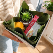 Load image into Gallery viewer, Cheeky WTF Vibes Succulent Gift Box - Sydney Only