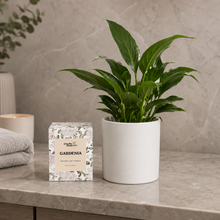 Load image into Gallery viewer, Heartfelt Condolences Gift - Peace Lily & Candle - Sydney Only