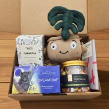 Load image into Gallery viewer, Self Care Plushie Gift Box