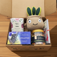Load image into Gallery viewer, Self Care Plushie Gift Box