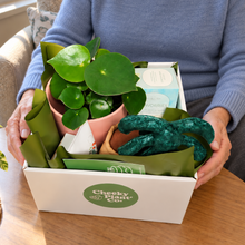Load image into Gallery viewer, Happy Birthday Plant Hamper - Sydney Only