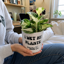 Load image into Gallery viewer, I Wet My Plants - Cheeky Plant Co. Pot - 12.5cmD x 12cmH
