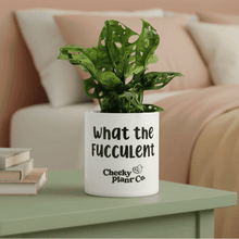 Load image into Gallery viewer, Monstera Potted Houseplant - CHOOSE YOUR CHEEKY POT