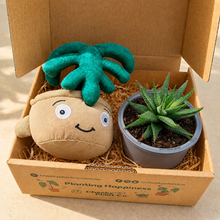 Load image into Gallery viewer, Cheeky Monstera Plant Plushie & Succulent Gift Box