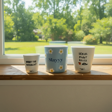 Load image into Gallery viewer, Much brighter pots on windowsill