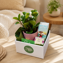 Load image into Gallery viewer, Pink Housewarming Plant Gift Hamper - Sydney Only