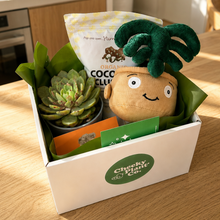 Load image into Gallery viewer, Thank You - Succulent Hamper / Succulent Gift Box - Sydney Only