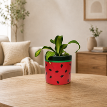 Load image into Gallery viewer, Assorted Potted Plant - CHOOSE YOUR CHEEKY POT - Sydney Only