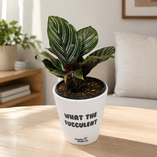 Load image into Gallery viewer, What a Serial Plant Slayer - Pot Bundle