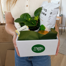Load image into Gallery viewer, What The Fucculent - Treat Yourself Plant Gift Hamper - Sydney Only