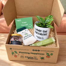 Load image into Gallery viewer, What the Fucculent - Plant Gift Box