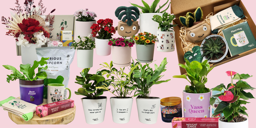 Mother's Day Gifts