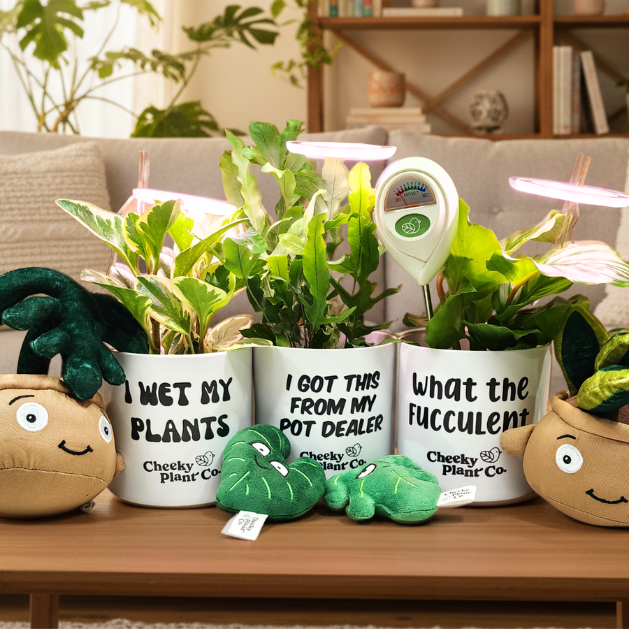 Plant Care, Accessories & Tools