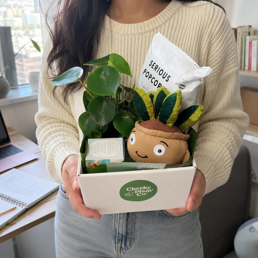 Plant Gifts