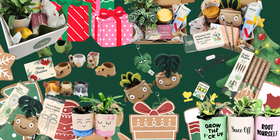 Boxing Day Sale