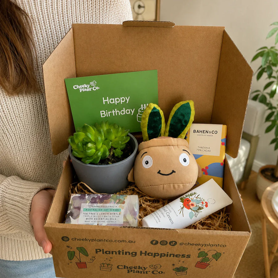Interstate Gift Boxes