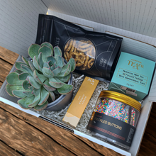 Load image into Gallery viewer, Congratulations - Succulent Gift Box
