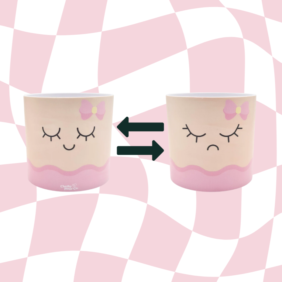 Face Swapping Pot - Moody Girlfriend - Cheeky Plant Co. Pot - 12.5cmD x 12cmH
