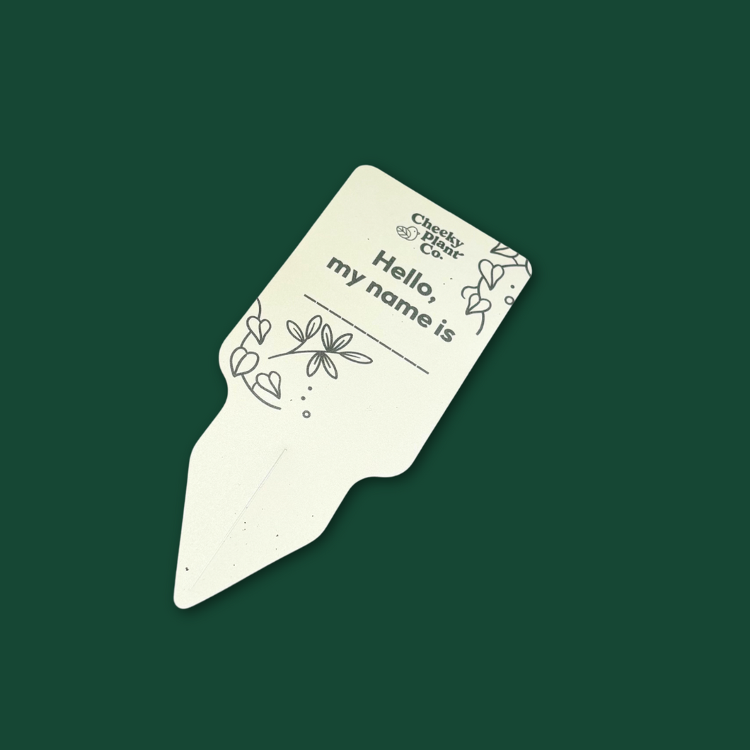 Plant Name Labels - 