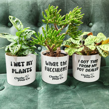 Load image into Gallery viewer, Trio Pack - Funny - Cheeky Plant Co. Pots - 12.5cmD x 12cmH
