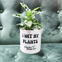 Load image into Gallery viewer, I Wet My Plants Pack
