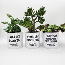 Load image into Gallery viewer, Trio Pack - Funny - Cheeky Plant Co. Pots - 12.5cmD x 12cmH
