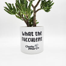 Load image into Gallery viewer, What the Fucculent - Cheeky Plant Co. Pot - 12.5cmD x 12cmH
