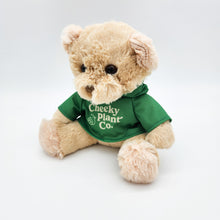 Load image into Gallery viewer, Teddy Bear - Cheeky Plant Co.
