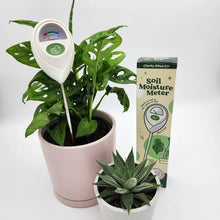 Load image into Gallery viewer, Essential Plant Care Starter Pack
