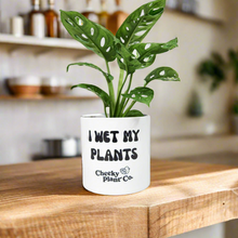 Load image into Gallery viewer, Assorted Indoor Plant in 'I Wet My Plants' Pot (12.5cmDx12cmH) - Sydney Only
