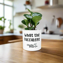 Load image into Gallery viewer, Assorted Indoor Plant in 'What the Fucculent' Pot (12.5cmDx12cmH) - Sydney Only
