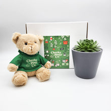 Load image into Gallery viewer, Teddy Bear &amp; Succulent Gift Box
