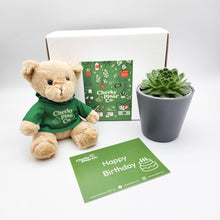Load image into Gallery viewer, Teddy Bear &amp; Succulent Gift Box
