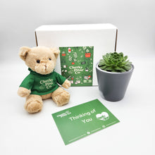 Load image into Gallery viewer, Teddy Bear &amp; Succulent Gift Box
