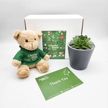Load image into Gallery viewer, Teddy Bear &amp; Succulent Gift Box
