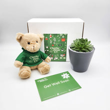Load image into Gallery viewer, Teddy Bear &amp; Succulent Gift Box
