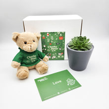 Load image into Gallery viewer, Teddy Bear &amp; Succulent Gift Box
