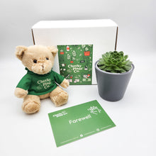 Load image into Gallery viewer, Teddy Bear &amp; Succulent Gift Box
